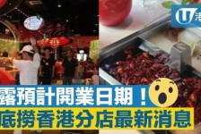连云港香港酒店雇用高薪伴游(高端伴游雇用)