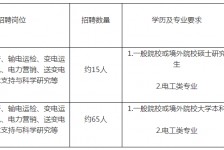 连云港重庆有雇用伴游外围吗(高端外围伴游雇用一单一结)