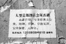 连云港珠海伴游雇用网(珠海游览社雇用信息)