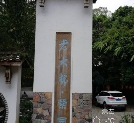 连云港关于伴游中国伴游你们伴得是什么游的信息