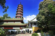 连云港广州自由行(广州 自由行)