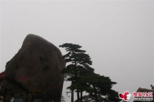 连云港上海伴游私家陪游雇用女模(上海伴游私家陪游雇用女模特)