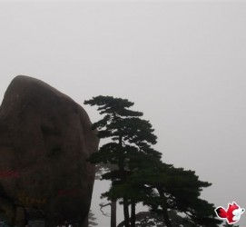 连云港上海伴游私家陪游雇用女模(上海伴游私家陪游雇用女模特)