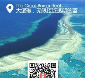 连云港中国250家旅行社结伴游新西兰(新西兰当地旅行社)