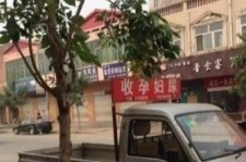 连云港上海伴游 用伴游造句大全(5