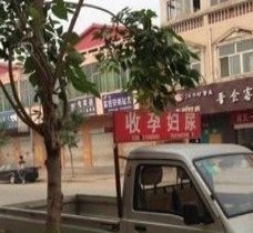 连云港上海伴游 用伴游造句大全(5