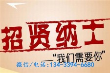 连云港酒店雇用伴游(酒店雇用伴游办事员)