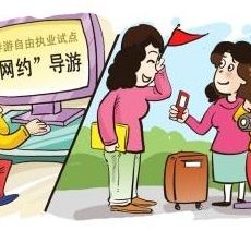 连云港伴游是什么