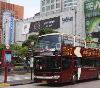 连云港上海私人伴游 上海过年怎么玩？这些“微游”线路了解下→