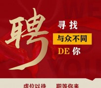 连云港商务伴游招聘 重庆星级酒店诚招司机服务员夜场保安