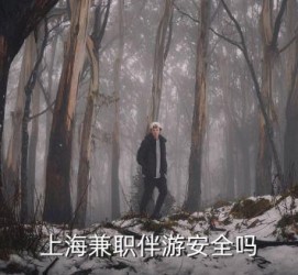 连云港上海私人伴游 上海伴游，上海兼职伴游安全吗