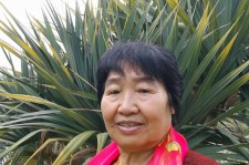 连云港白叟带老伴游半个中国(白叟外出旅游)
