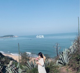 连云港厦门周边游(厦门及周边旅游攻略)