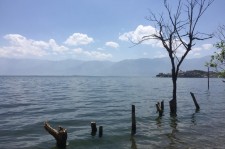 连云港洱海旅游攻略(洱海旅游攻略自由行)