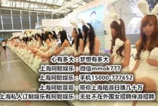 连云港雇用旅游男伴游(北京商务酒店雇用伴游)