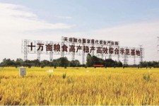 连云港关于成都商务伴游外围雇用的信息