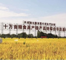 连云港关于成都商务伴游外围雇用的信息