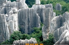 连云港贵阳市游览社英语伴游雇用(贵阳市前十名游览社是哪几家)