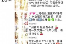 连云港外围伴游雇用圈套(雇用伴游什么样子的是实的)