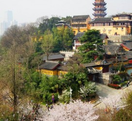 连云港南京周边游(南京周边游景点大全 自驾车旅游)