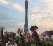 连云港广州旅游攻略(杭州到广州旅游攻略)