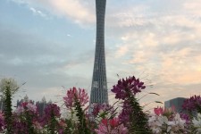 连云港广州旅游攻略(杭州到广州旅游攻略)