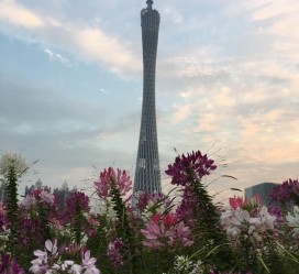 连云港广州旅游攻略(杭州到广州旅游攻略)