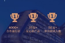 连云港上海私人伴游 ​ “小而美”的新时代：2020年国内新跟团消费报告