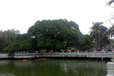 连云港福州旅游攻略(福州旅游攻略二日游)