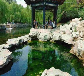 连云港济南旅游攻略(青岛威海济南旅游攻略)